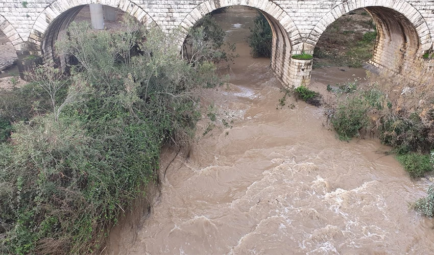 הזרימה בקישון, היום (צילום: יוסי סורוג'ון, רשות נחל הקישון)