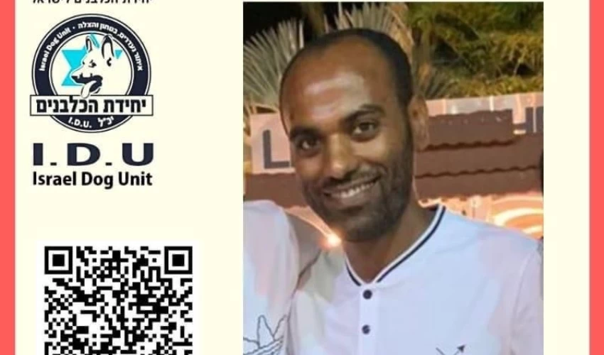 נעדר, טרונה איילון