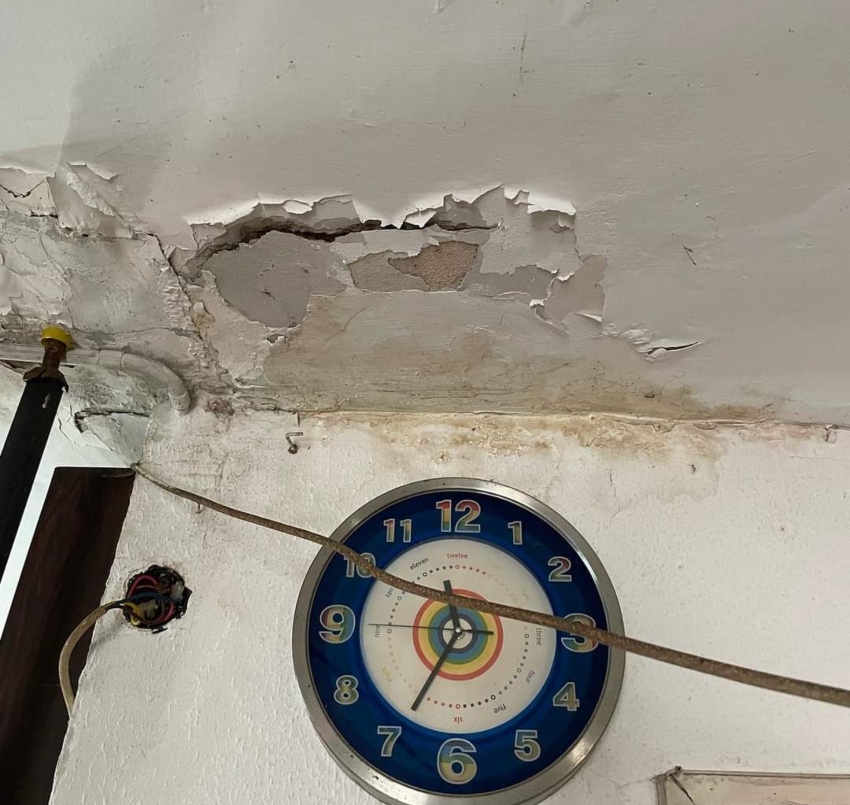עובש וכבלי חשמל חשופים (צילום: איריס גלבוע)