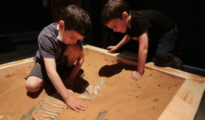 חוקרים מאובנים במדעטק חיפה (צילום: מושון תמיר)