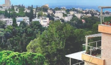 3 חדרים ברמת התשבי, הנוף הכי יפה בארץ (צילום: חיפה סיטי נדל"ן)