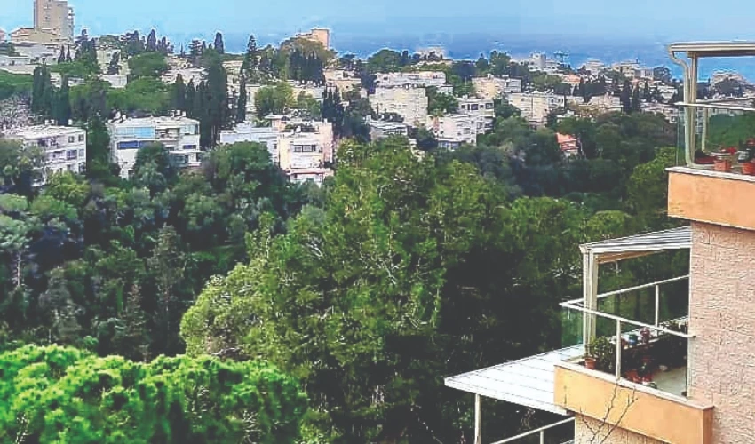 3 חדרים ברמת התשבי, הנוף הכי יפה בארץ (צילום: חיפה סיטי נדל"ן)