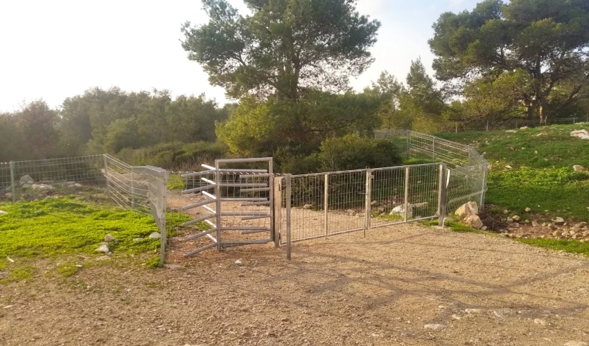 גידור השכונות הדרום מערביות של חיפה (צילום: ענבל חן ברגב)