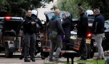 לכידת החזירים במרכז הכרמל (צילום: יאיר גיל)