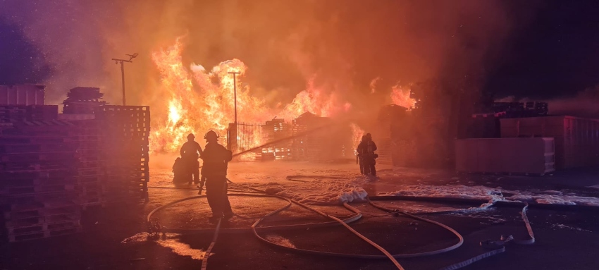 שריפה במחסן עצים בצ'ק פוסט (צילום: דוברות כבאות והצלה מחוז חוף)