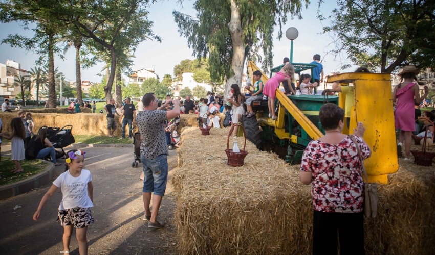 חוגגים שבועות בחיפה (צילום ארכיון: דוברות עיריית חיפה)