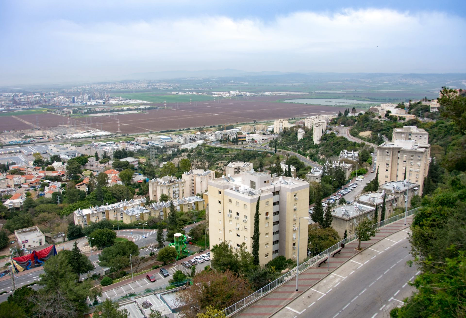 נשר (צילום: dnaנשר (צילום: dnaveh/depositphotos.com)