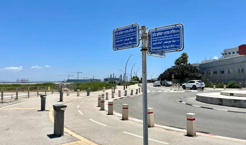 טיילת חולדה גורביץ' (צילום: ראובן כהן, דוברות עיריית חיפה)