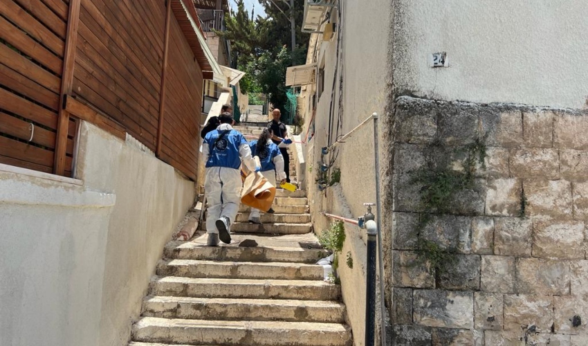 חוקרי מז"פ ברחוב אלמותנבי (צילום: חגית הורנשטיין) 