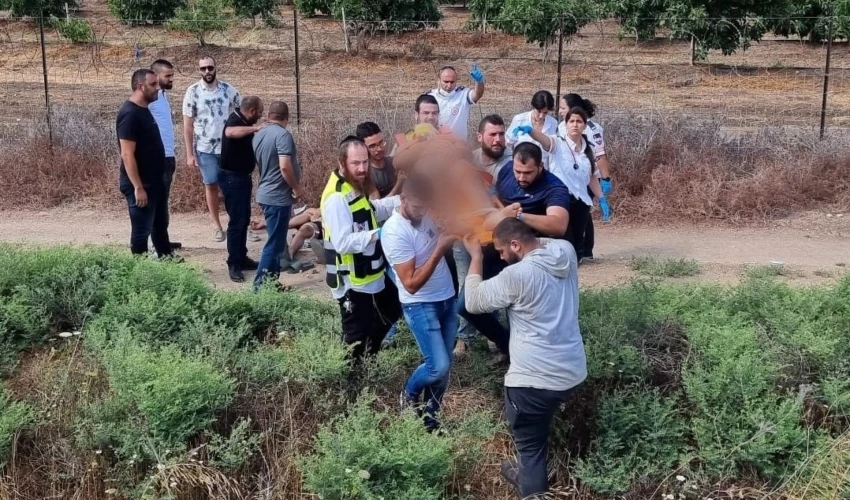 תשעה פצועים בתאונה במעורבות מספר כלי רכב בצומת אפק (צילום: דוברות הצלה)