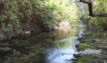 נחל סעדיה (צילום: איתן צנטנר, רשות נחל הקישון)