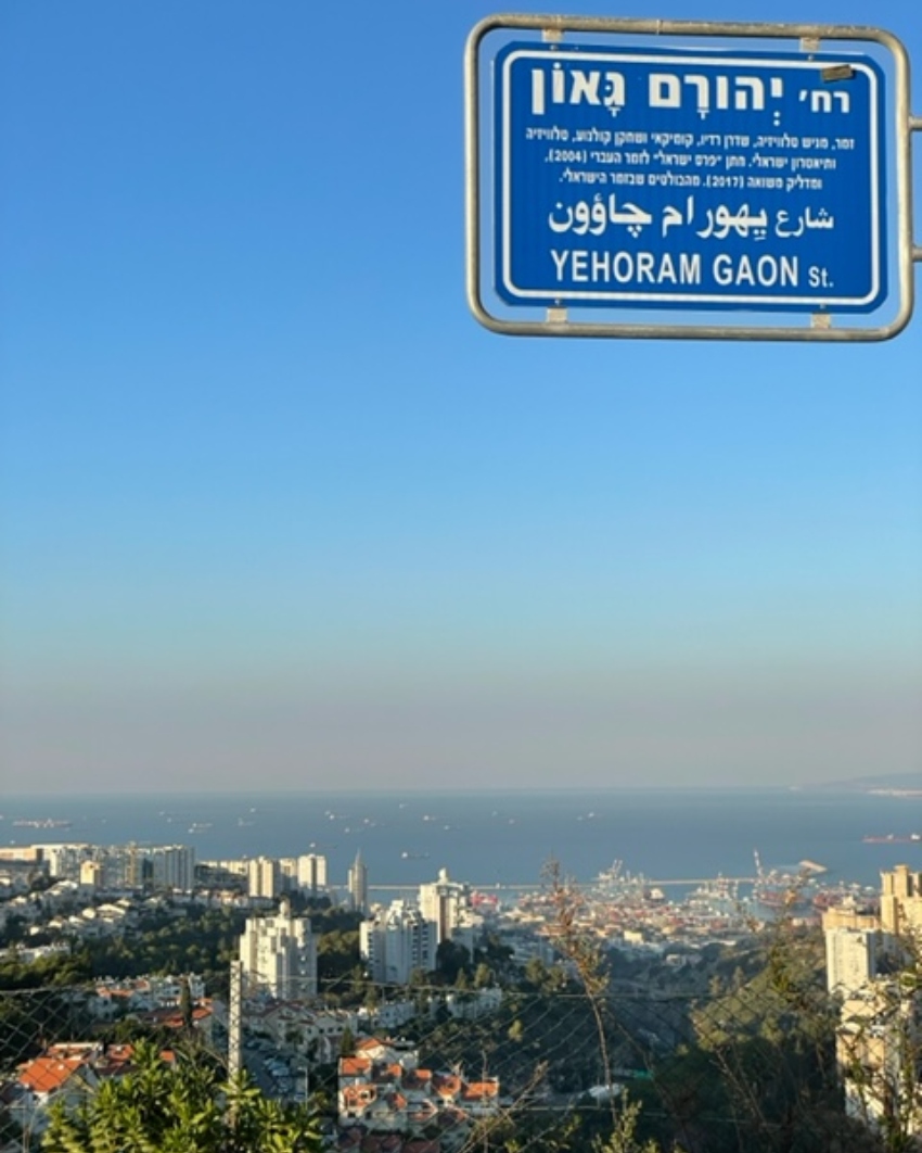 רחוב יהורם גאון בגבעת זמר (צילום: יח"צ)