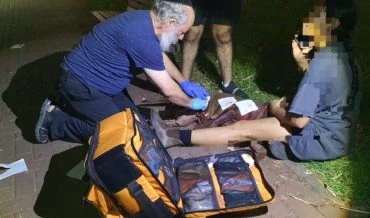 הכלבה שהותקפה על ידי חזיר בר מקבלת טיפול (צילום: דוברות איחוד הצלה כרמל ואשר)