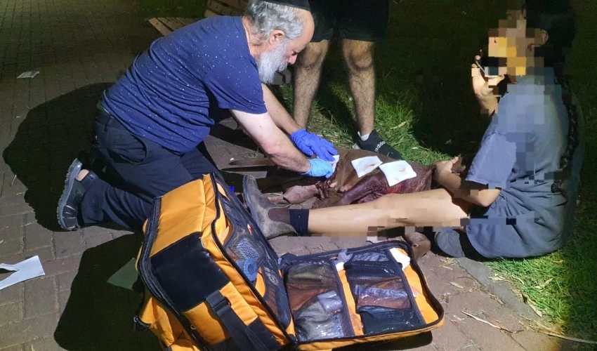הכלבה שהותקפה על ידי חזיר בר מקבלת טיפול (צילום: דוברות איחוד הצלה כרמל ואשר)