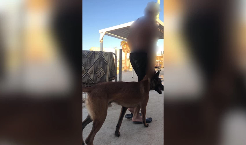החשוד עם כלבו (צילום: דוברות המשטרה)