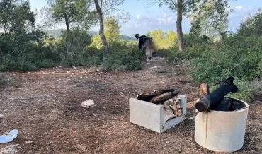 מקום האירוע לאחר מאמצי הכיבוי (צילום: דוברות המשטרה ודוברות כבאות והצלה מחוז חוף)