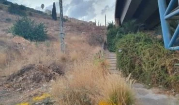 המדרגות בצ'ק פוסט נחסמו על ידי צמחייה (צילום: ראובן קפול)
