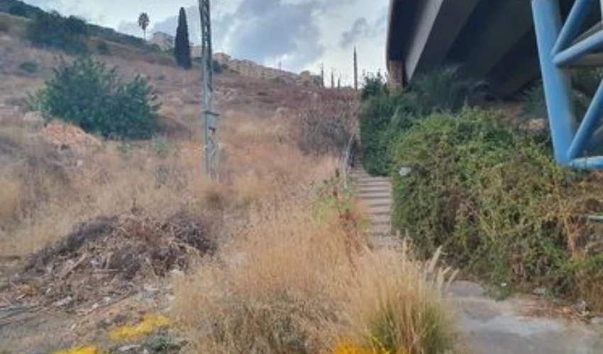 המדרגות בצ'ק פוסט נחסמו על ידי צמחייה (צילום: ראובן קפול)