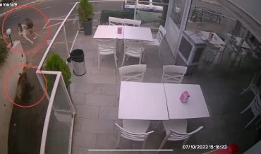 חזיר הבר שועט לעבר נ' וחברתה (צילום מתוך סרטון האבטחה)
