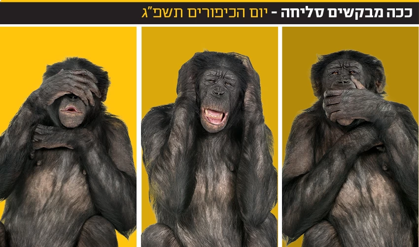 צילום: Lifeonwhite/depositphotos.com