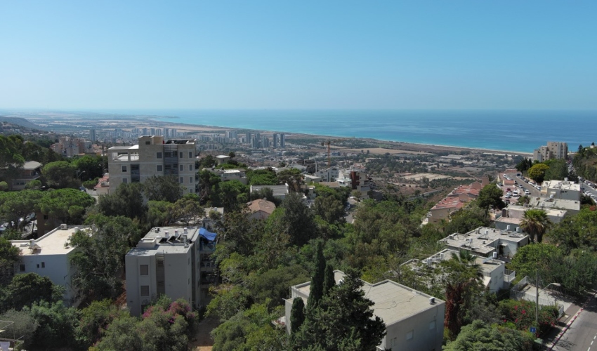 סמולנסקין 20 (צילום: ערן לביא)
