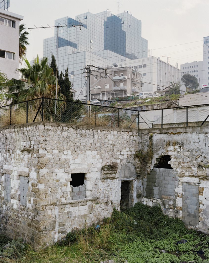 מבט אל מגדל הנביאים מוואדי סאליב (צילום: גיל בר)