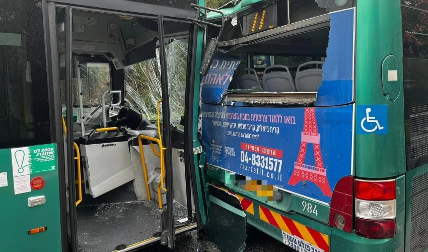 התאונה בין שני האוטובוסים (צילום: דוברות כבאות והצלה, מחוז חוף)
