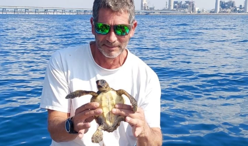 ערן לוי משחרר בחזרה לים את הצבה לוי (צילום: גידי לוי, חברת חשמל)