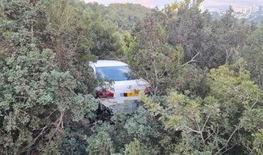 המכונית בתוך הסבך (צילום: דוברות שירותי הכבאות וההצלה)