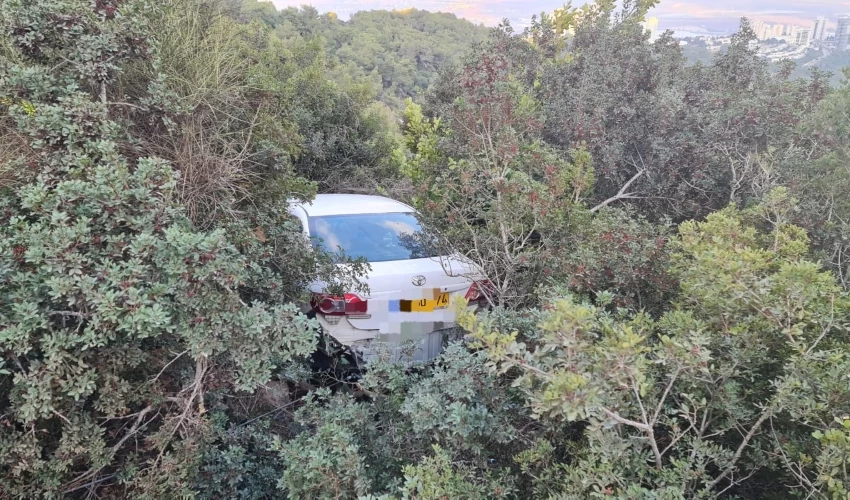 המכונית בתוך הסבך (צילום: דוברות שירותי הכבאות וההצלה)