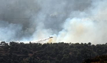 אסון הכרמל (צילום: משה מילנר, לע"מ)