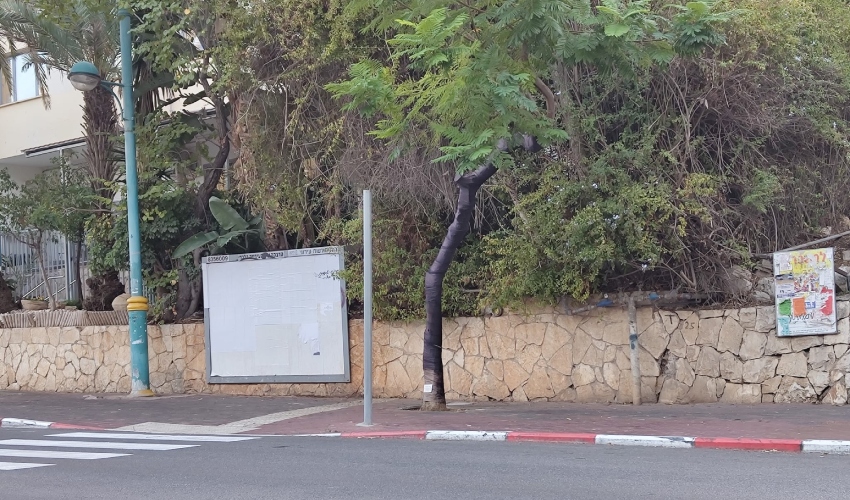 לוח מודעות חיפאי